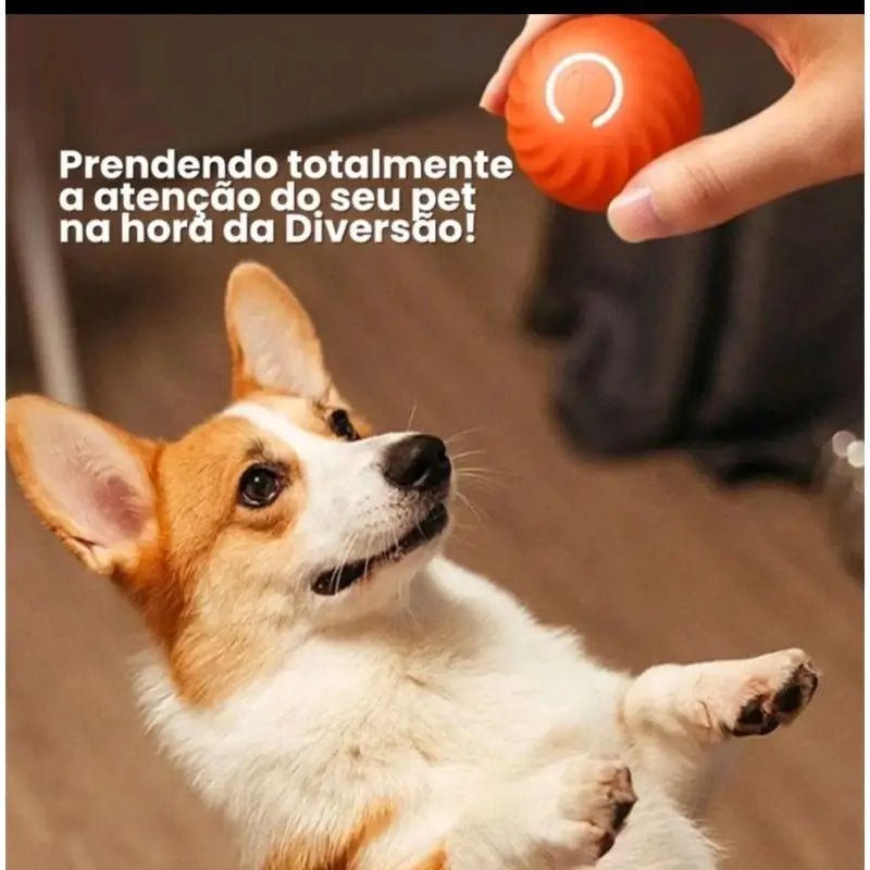 Bola Elétrica Inteligente para Cães e Gatos – Movimento Automático 360 Graus Carregamento USB da Store M7 - Shop Online | Envio rápido