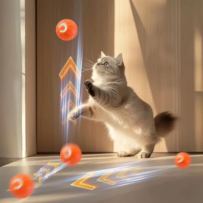 Bola Elétrica Inteligente para Cães e Gatos – Movimento Automático 360 Graus Carregamento USB da Store M7 - Shop Online | Envio rápido