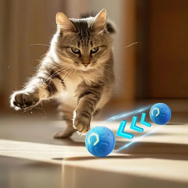 Bola Elétrica Inteligente para Cães e Gatos – Movimento Automático 360 Graus Carregamento USB da Store M7 - Shop Online | Envio rápido