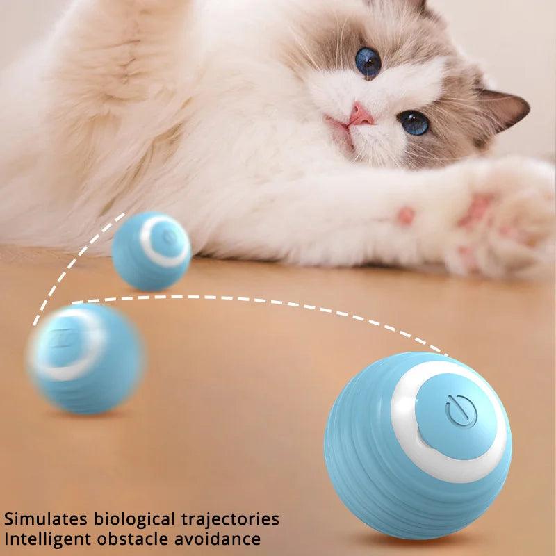 Brinquedo mordedor automático para gatos da Store M7 - Shop Online | Envio rápido